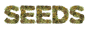 Website Logo Cannaconda.de - Dein Hanfshop