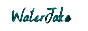 Website Logo WaterJake®