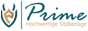 Website Logo Prime Sitzbezüge