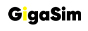Website Logo GigaSim