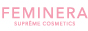 Website Logo FEMINERA