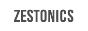 Website Logo zestonics