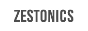 Website Logo zestonics 