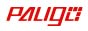 Website Logo PALIGO.com