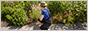 Website Logo bellissa