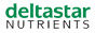 Website Logo Deltastar