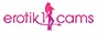 Website Logo e1cams