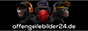 Website Logo affengeilebilder24