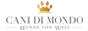 Website Logo Canidimondo